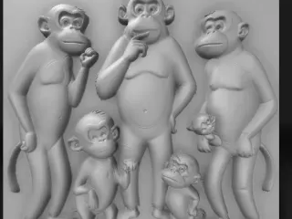 the baboon family