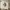Relief Virgin Miraculous Medal wall ornament