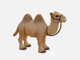 Camel-1