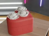 Caja de rosas en forma de corazón-6