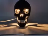 Anatomical Skull Lamp with Snap-Fit Legs-5