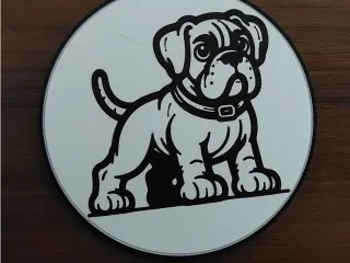 Boxer Coaster
