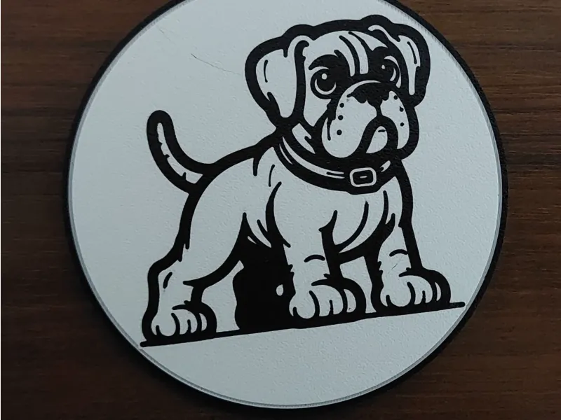 Boxer Coaster