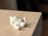 MINI katzen kollektion-1