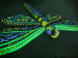 Dragonfly fridge magnet-2