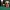 the binding of isaac_isaac