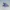 Raremon Digimon Creature Model