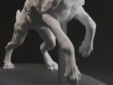 Aggressive dog-4
