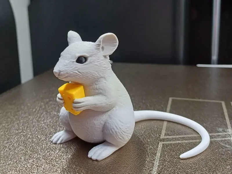 Rato Ladrão de Queijo