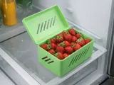 FRIDGE FRUIT BASKET-1
