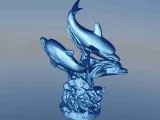 Dolphin seaweed-4