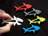 sharkz-1