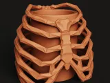 Ribcage Skeleton Planter | Gothic Anatomy Flower Pot-5