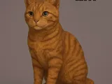 Kitty-0