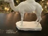 Camel 2-1