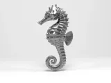Sea​​horse-6