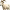 scanned goat.