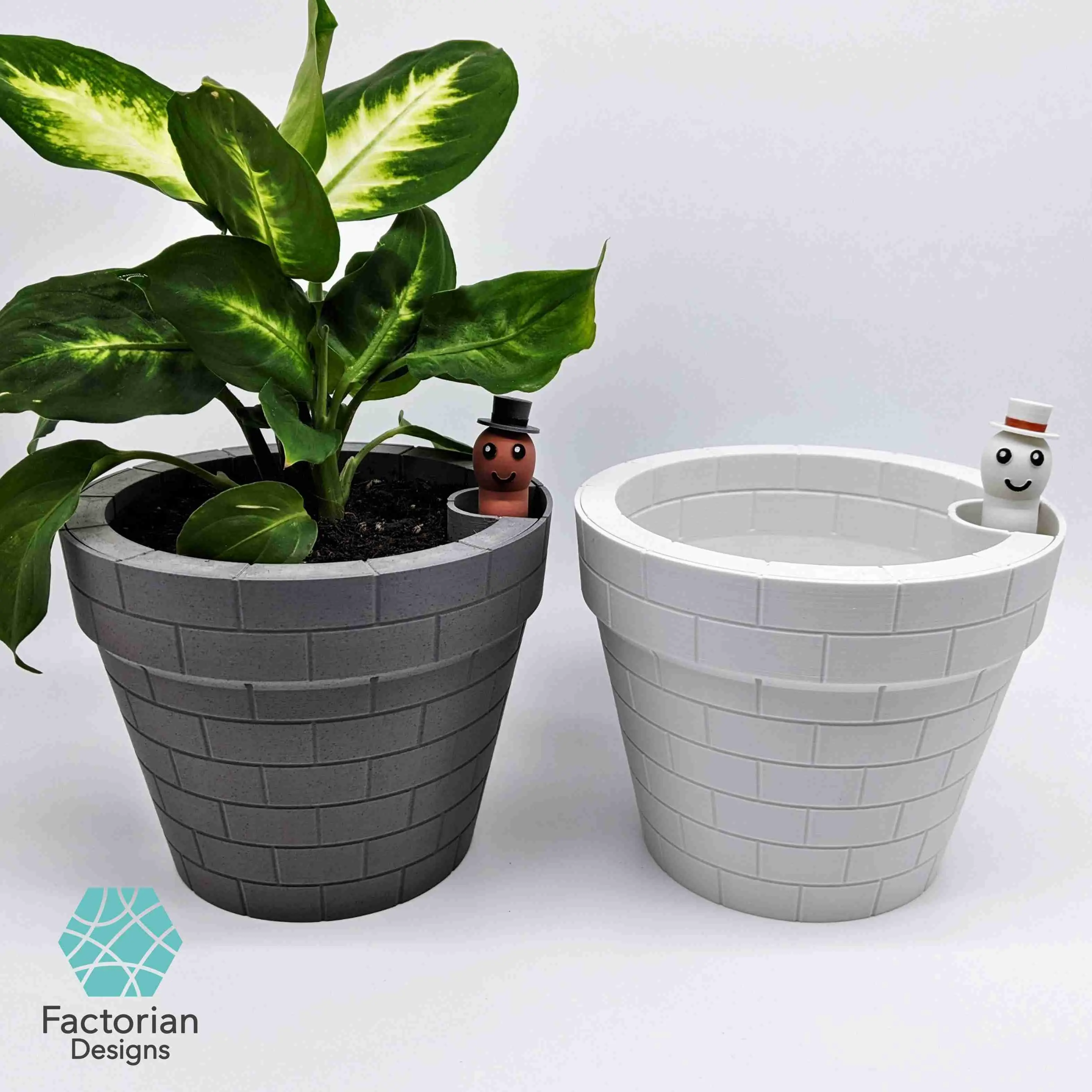 Self-Watering Plant Pot with a Gentleman Earthworm Companion