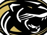 Panthers 0305-0