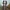 Topper de Boda 3D – Dos Novias