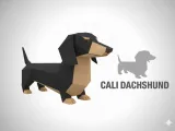 Cali-dachshund -1
