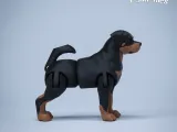 Rottweiler the realistic flexi dog toy - collectible figure-4