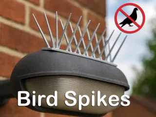 Bird Spikes