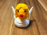Duck Angel-1