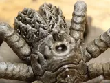 GIANT MOSQUITO CREATURE - 28MM DND MINIATURE-6
