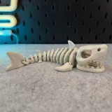 Articulated Skeleton Shark