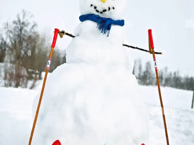 snowman skiing/雪人滑雪/Schneemann beim Skifahren