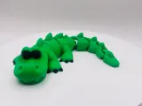 Flexi Crocodile-1