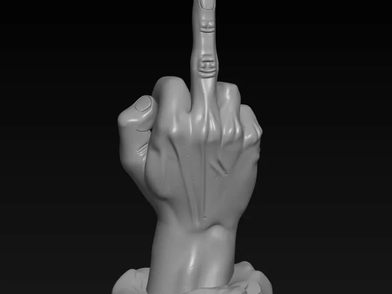 multipurpose hand model