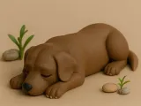 Cute Sleeping Dog-0