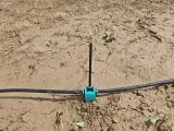Fixed bracket for watering nozzle-1
