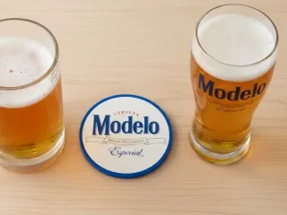 Modelo Especial Coaster