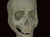vampi̇r kafatasi 💀-0