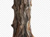 tree stump container-0