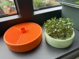 Sprouting Tray/Seed Germinator -  10cm-2