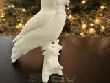 Snowy Owl-4