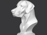 Great Dane Bust-1