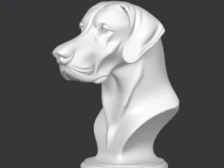 Great Dane Bust