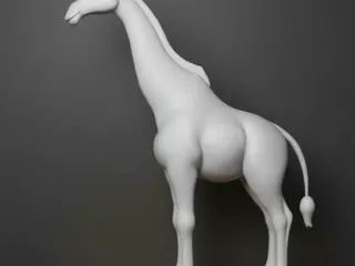 giraffe
