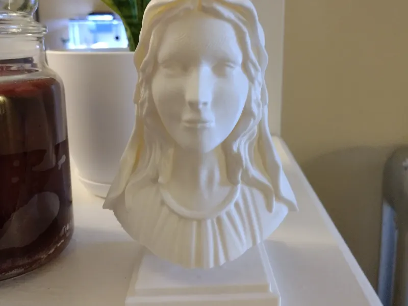 busto da virgem