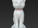 Tiny White Kitten-1