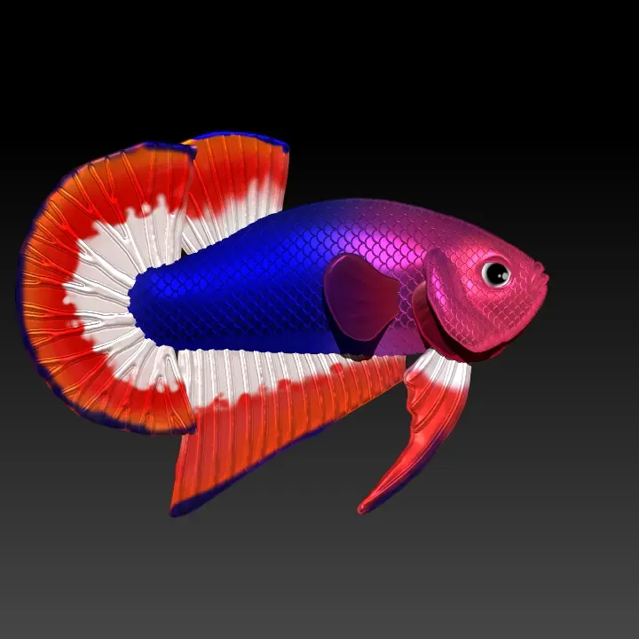 BETTA FISH 2