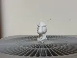 可爱玉桂狗-2