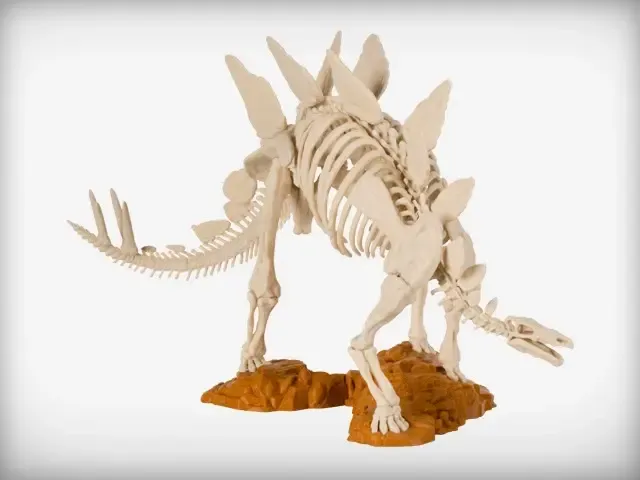 Stegosaurus İskeleti