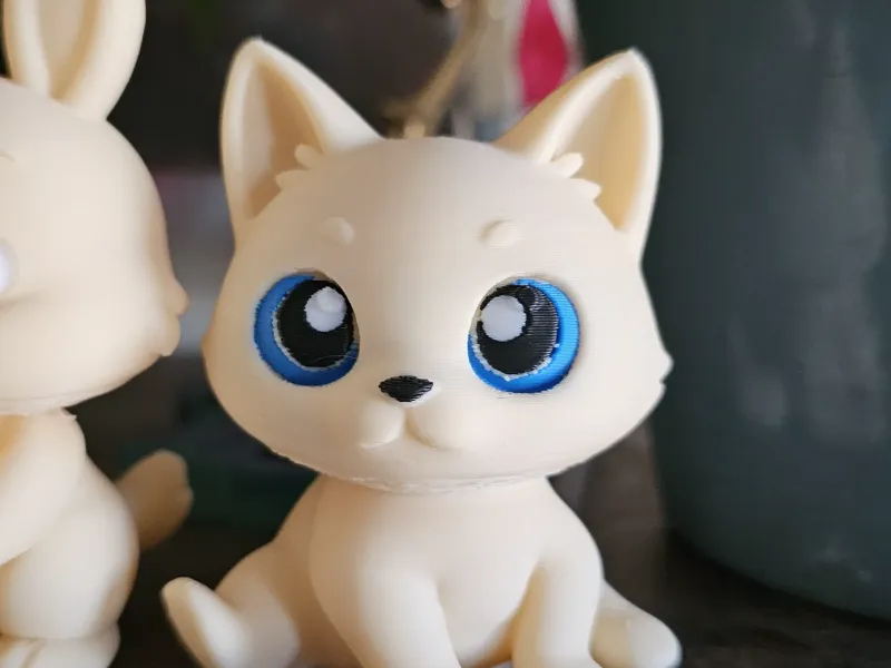 Siamese Cat