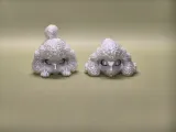 可活动贵宾犬-3